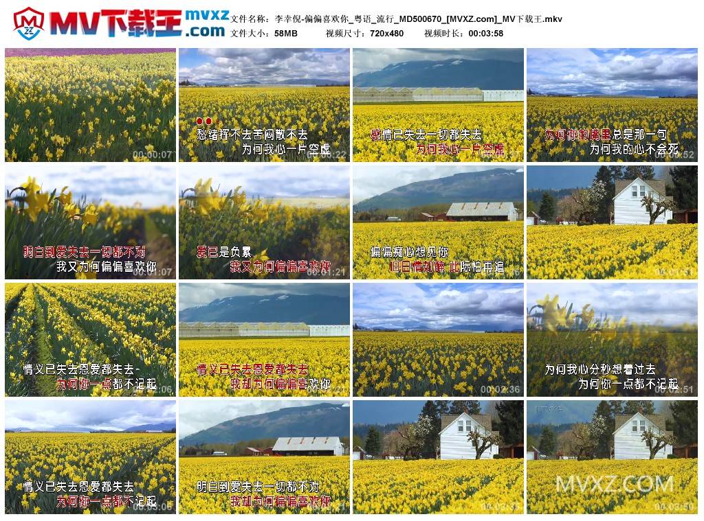 李幸倪-偏偏喜欢你_粤语_流行_MD500670